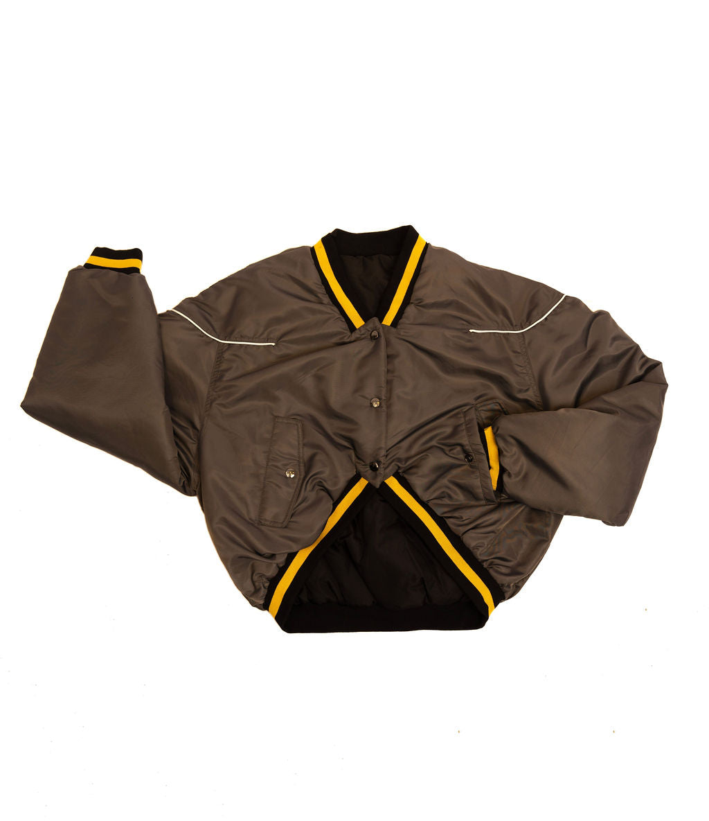 Dragon Jacket