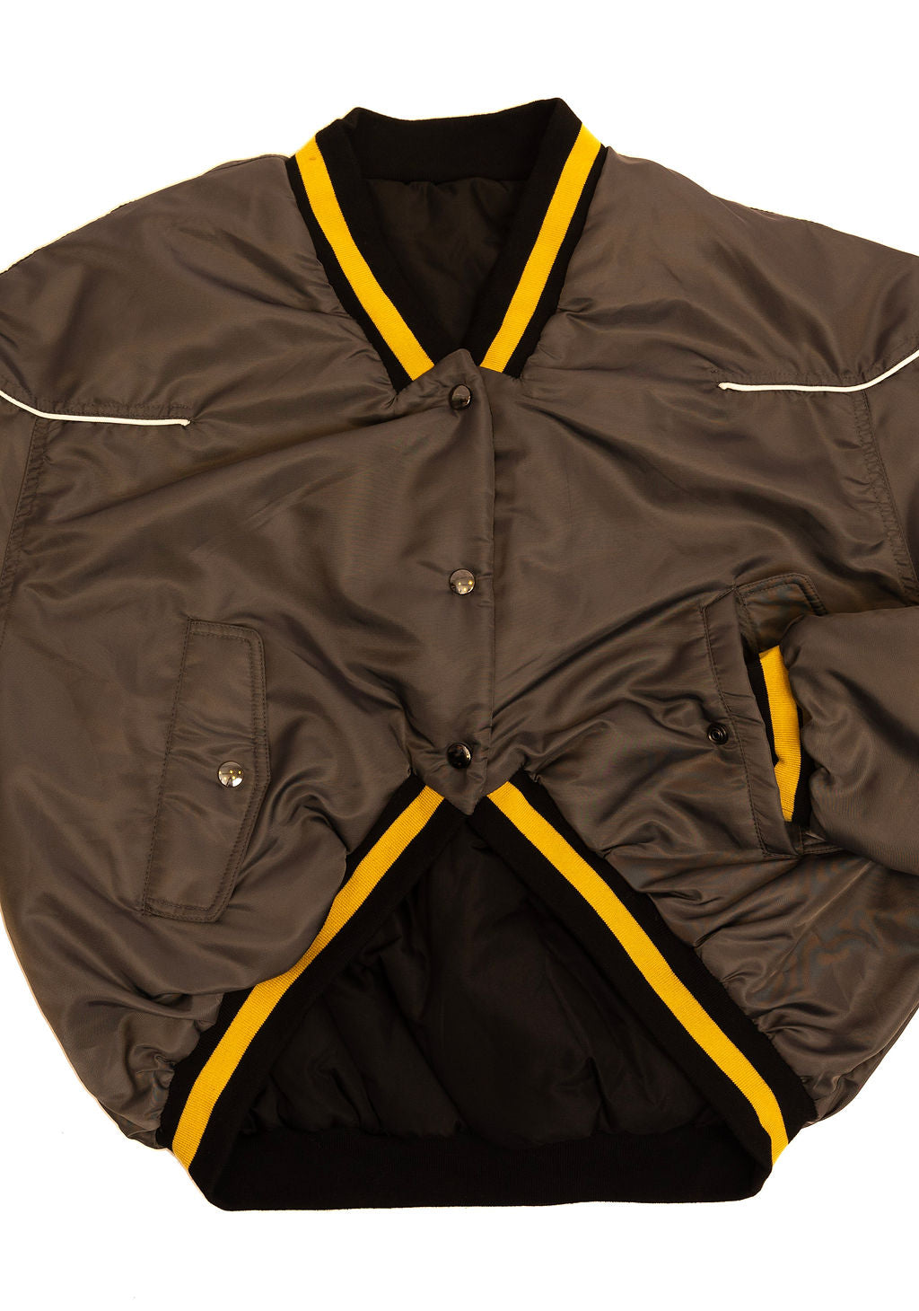Dragon Jacket